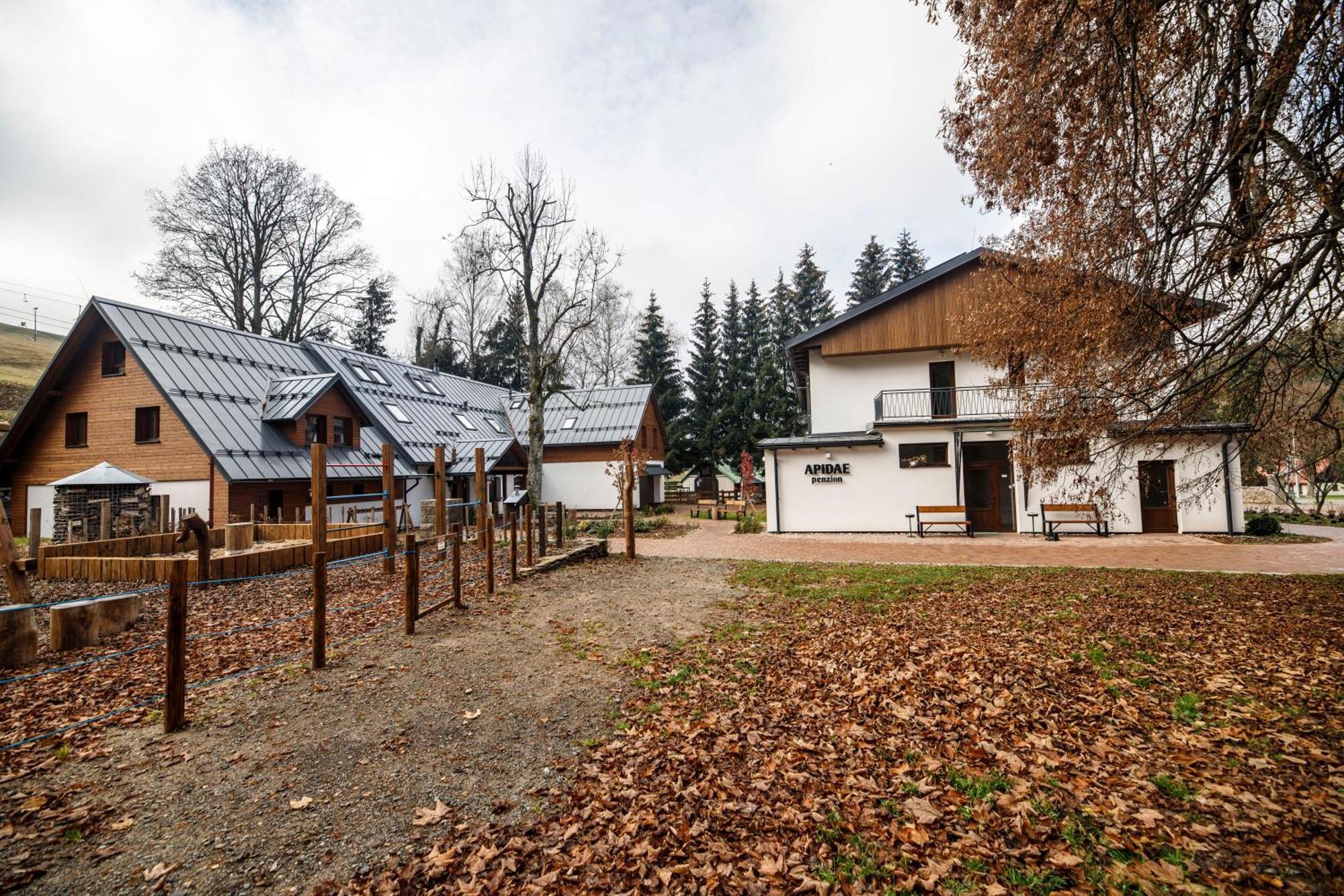 Apidae Gasthof Destne v Orlickych horach