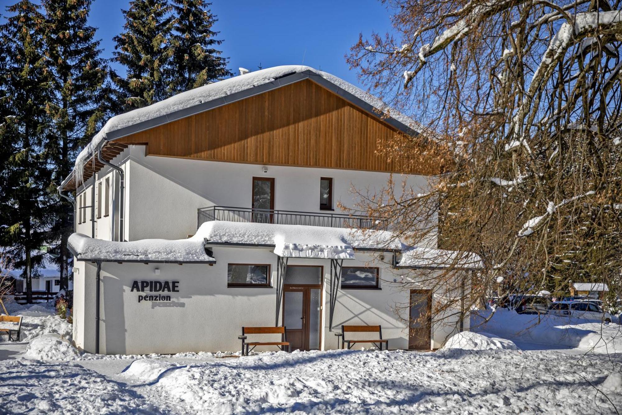 Gasthof Apidae Destne v Orlickych horach